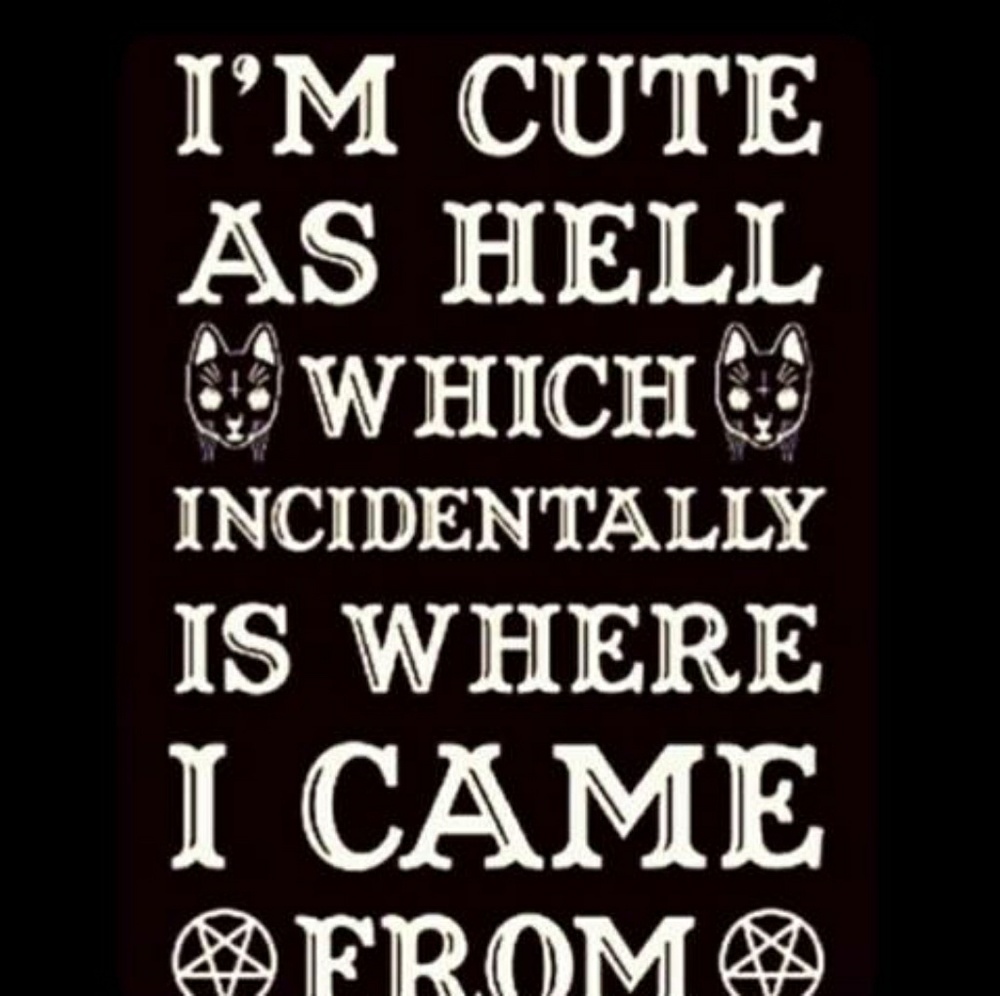 Meet your Posher, Shannon